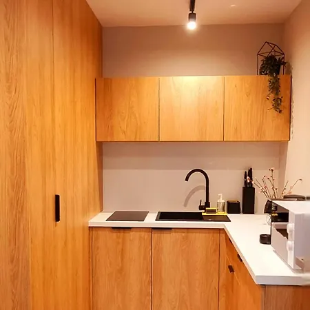 Srebrna Ostoja 66-atlas Arena, Piotrkowska, Manufaktura, Parking Prywatny * Łódź