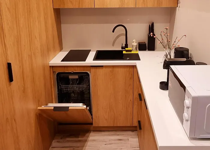 Srebrna Ostoja 66-atlas Arena, Piotrkowska, Manufaktura, Parking Prywatny