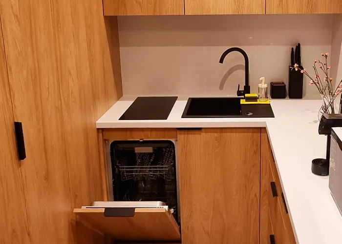 Srebrna Ostoja 66-atlas Arena, Piotrkowska, Manufaktura, Parking Prywatny Apartamento