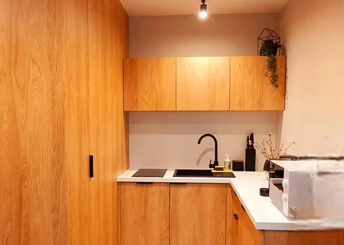 Srebrna Ostoja 66-atlas Arena, Piotrkowska, Manufaktura, Parking Prywatny * Łódź