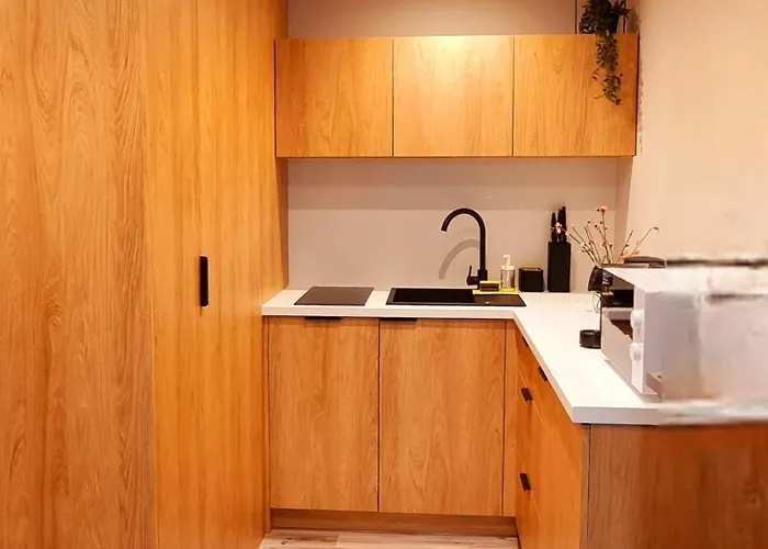 Srebrna Ostoja 66-atlas Arena, Piotrkowska, Manufaktura, Parking Prywatny Apartamento *