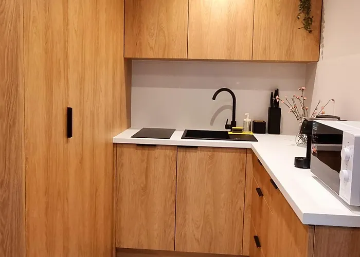 Srebrna Ostoja 66-atlas Arena, Piotrkowska, Manufaktura, Parking Prywatny Apartamento *